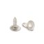 LeadFIX resorbable membrane tacks, set of 2 pcs.