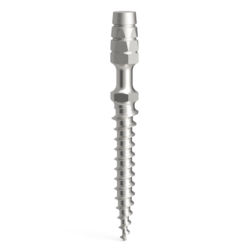 Temporäre Implantate ProImplant, D2.1 - Enossaler Teil: 10 mm